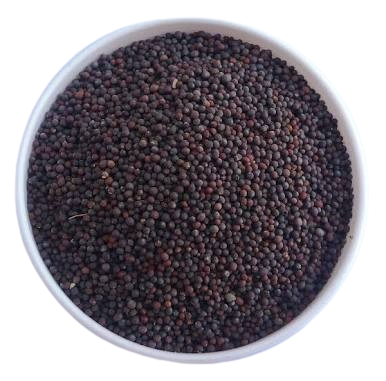 Mohari - mustard seeds
